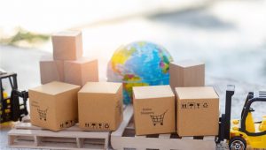 Local Packers and Movers Mumbai