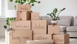 Packing Service In Mumbai