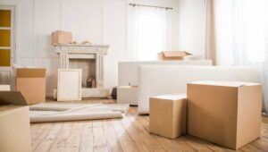 Packers and Movers Mira Road