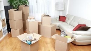 Packers and Movers CST (Mumbai)
