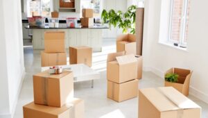 Packers and Movers Thane